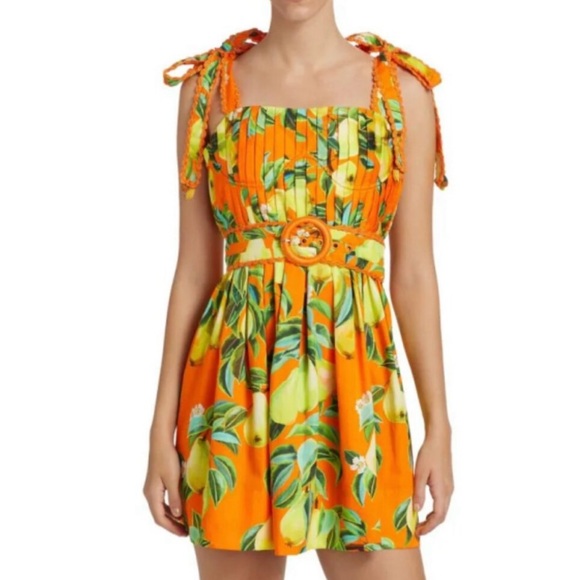 FARM Rio Dresses & Skirts - FARM Rio Chic Pears Mini Dress